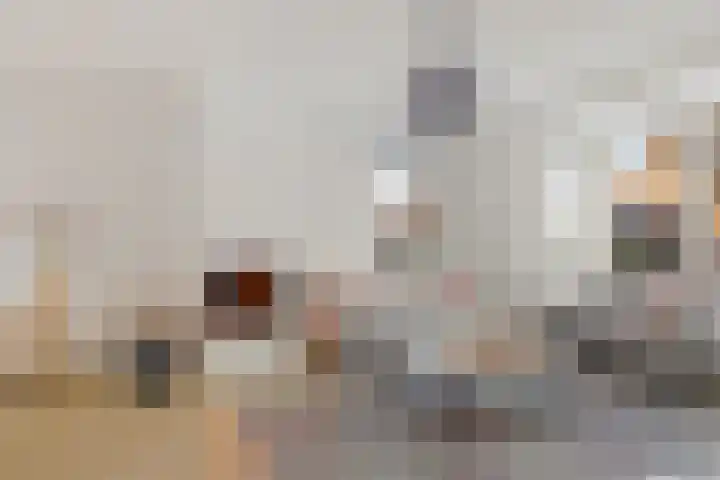 Hazenoor 3 Assen thumbnail 11