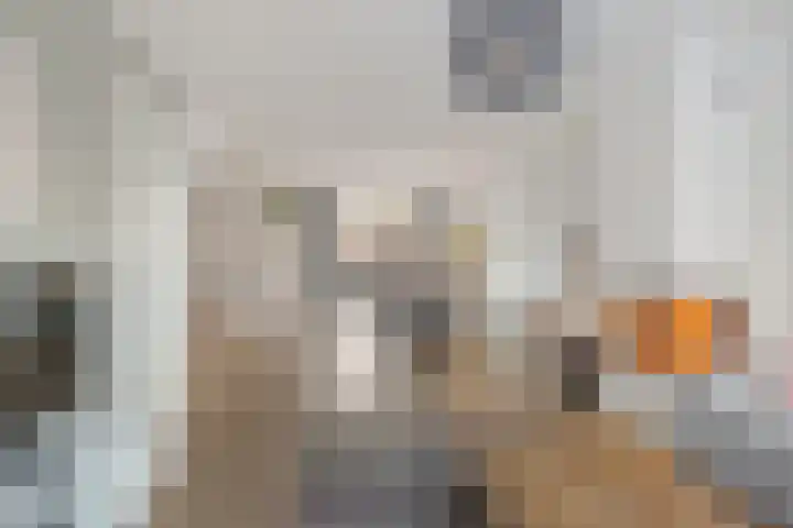 Hazenoor 3 Assen thumbnail 13