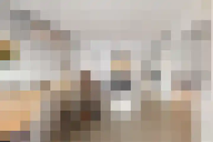 Hazenoor 3 Assen thumbnail 17