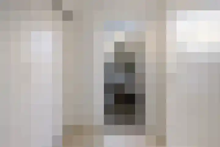 Hazenoor 3 Assen thumbnail 22