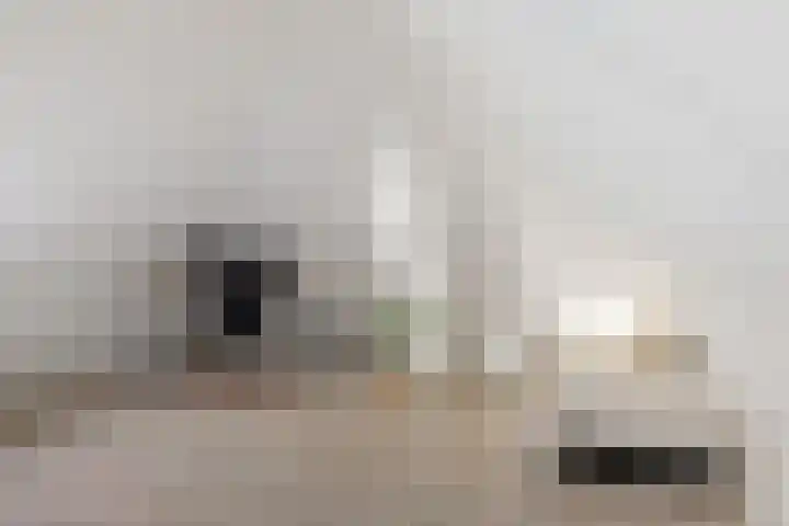 Hazenoor 3 Assen thumbnail 33