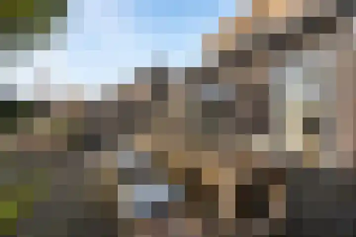 Hazenoor 3 Assen thumbnail 35