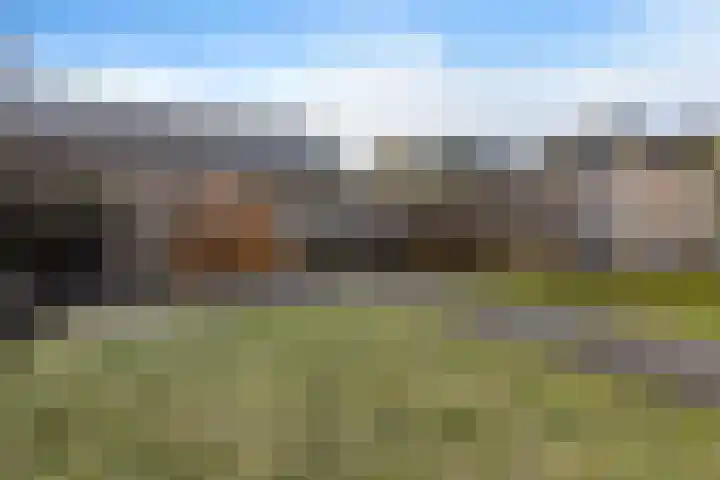 Hazenoor 3 Assen thumbnail 37