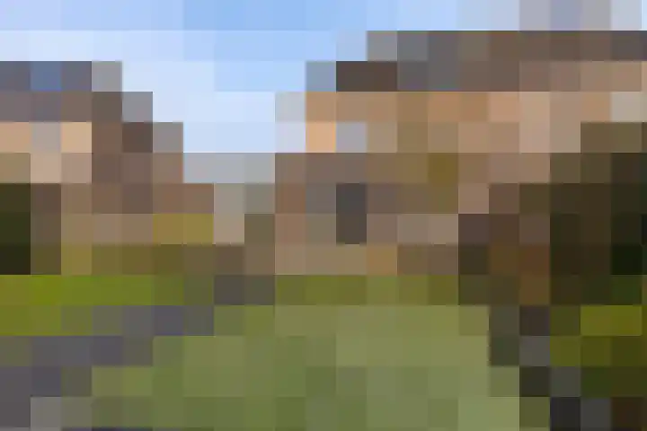 Hazenoor 3 Assen thumbnail 39