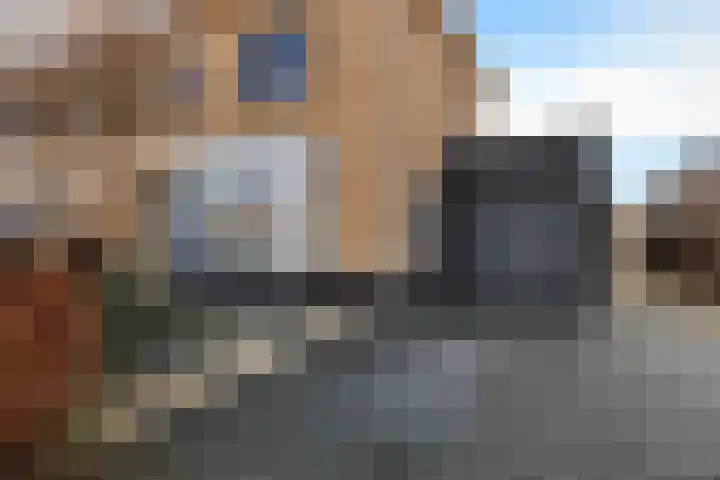 Hazenoor 3 Assen thumbnail 4
