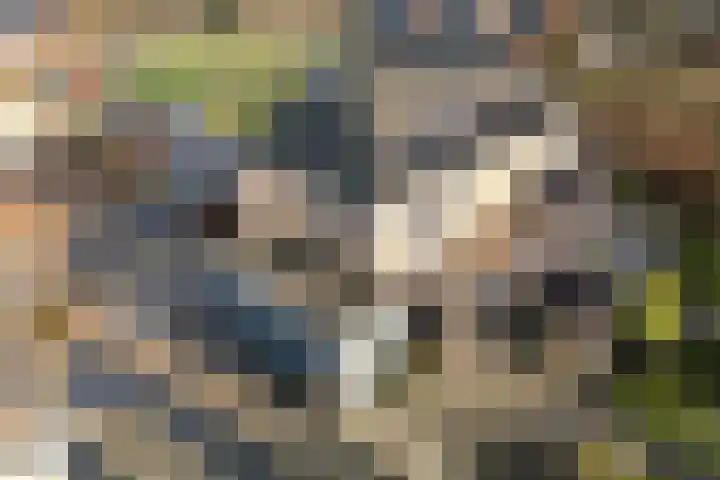 Hazenoor 3 Assen thumbnail 42
