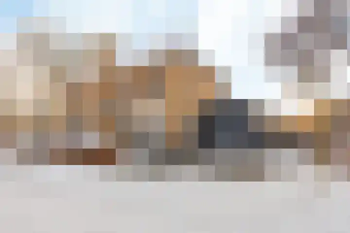 Hazenoor 3 Assen thumbnail 5