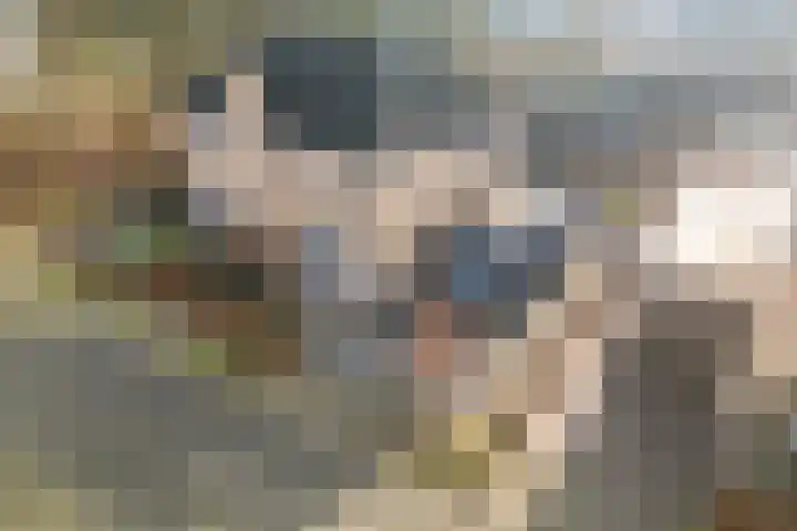 Hazenoor 3 Assen thumbnail 50