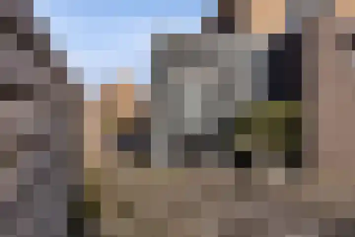 Hazenoor 3 Assen thumbnail 56
