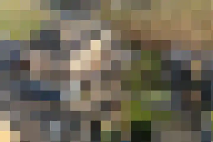 Hazenoor 3 Assen thumbnail 57