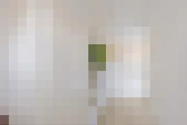 Hazenoor 3 Assen thumbnail 8