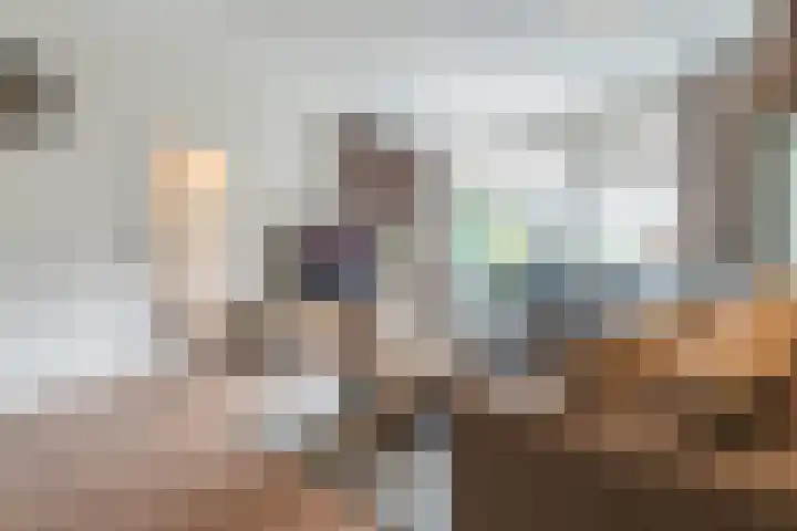 Hazenpad 11 Alteveer thumbnail 10