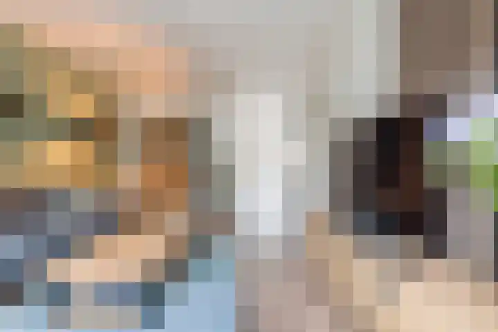 Hazenpad 11 Alteveer thumbnail 12
