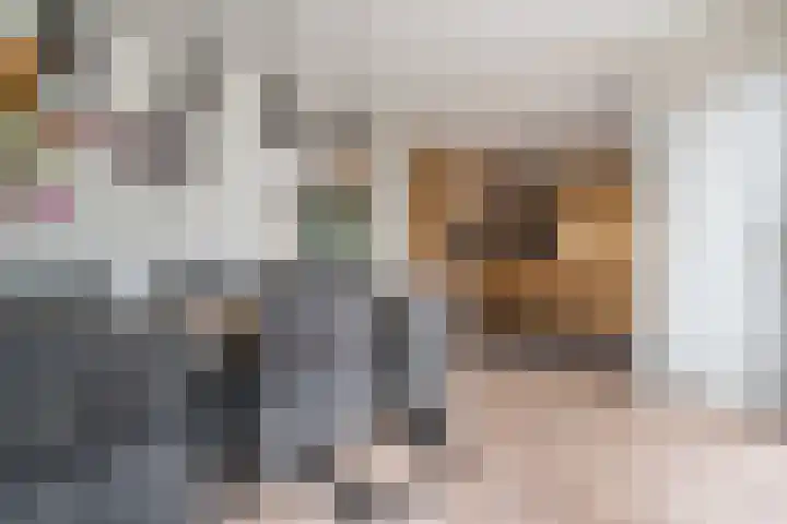 Hazenpad 11 Alteveer thumbnail 16