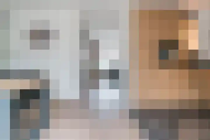 Hazenpad 11 Alteveer thumbnail 17