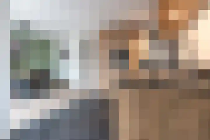 Hazenpad 11 Alteveer thumbnail 18