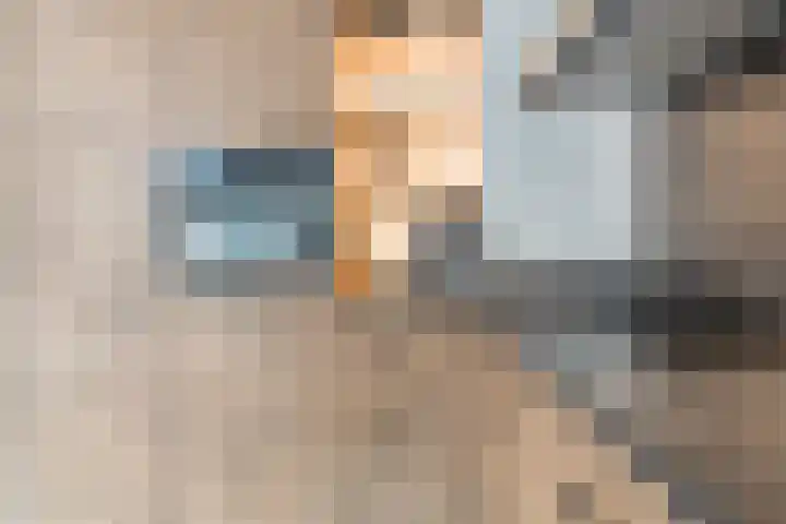 Hazenpad 11 Alteveer thumbnail 19