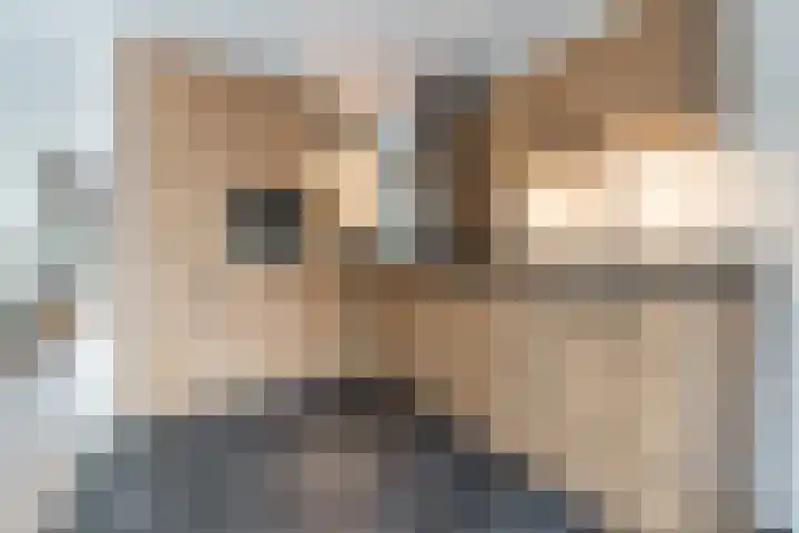 Hazenpad 11 Alteveer thumbnail 21