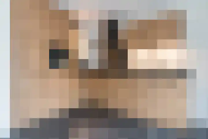 Hazenpad 11 Alteveer thumbnail 22