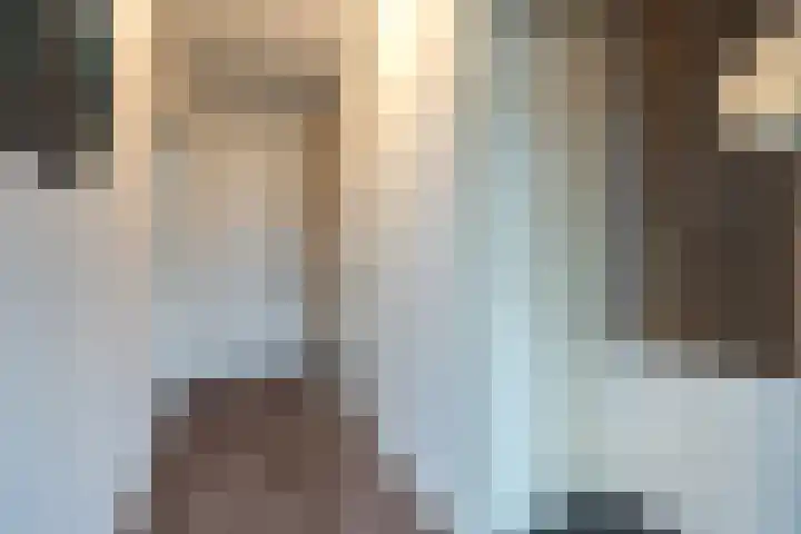 Hazenpad 11 Alteveer thumbnail 27