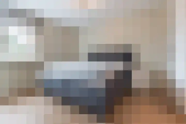 Hazenpad 11 Alteveer thumbnail 32