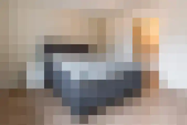 Hazenpad 11 Alteveer thumbnail 33