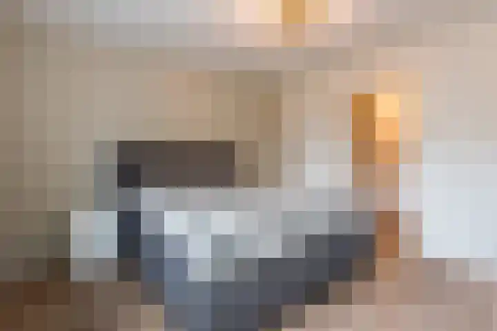 Hazenpad 11 Alteveer thumbnail 34