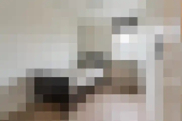 Hazenpad 11 Alteveer thumbnail 35