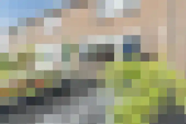 Hazenpad 11 Alteveer thumbnail 4