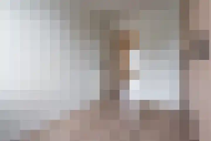 Hazenpad 11 Alteveer thumbnail 40