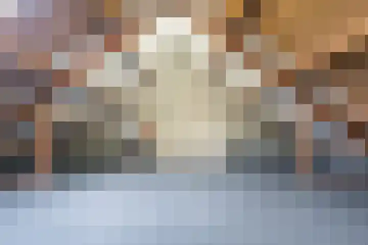 Hazenpad 11 Alteveer thumbnail 48