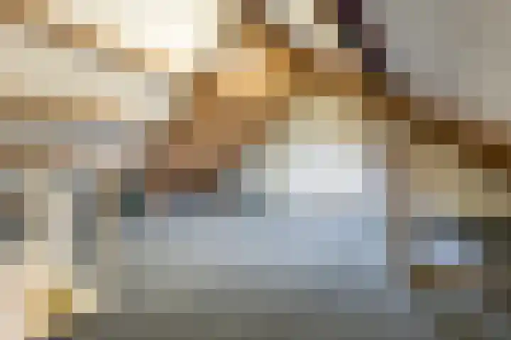 Hazenpad 11 Alteveer thumbnail 49