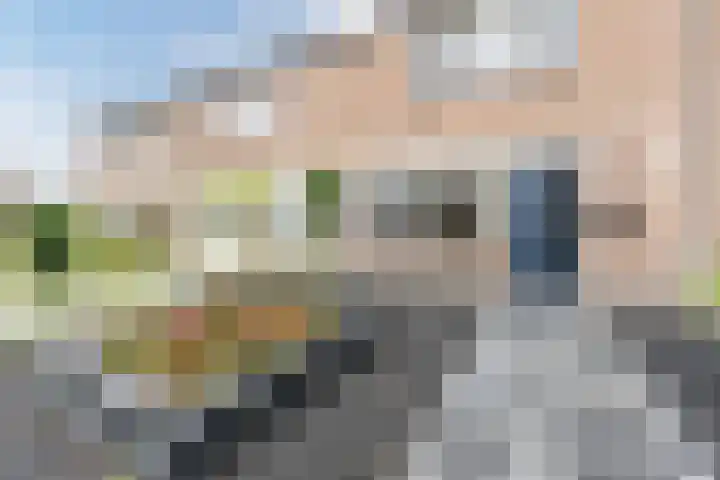 Hazenpad 11 Alteveer thumbnail 5