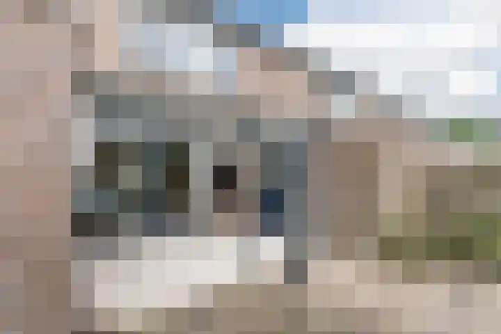 Hazenpad 11 Alteveer thumbnail 52