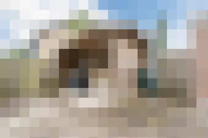 Hazenpad 11 Alteveer thumbnail 53