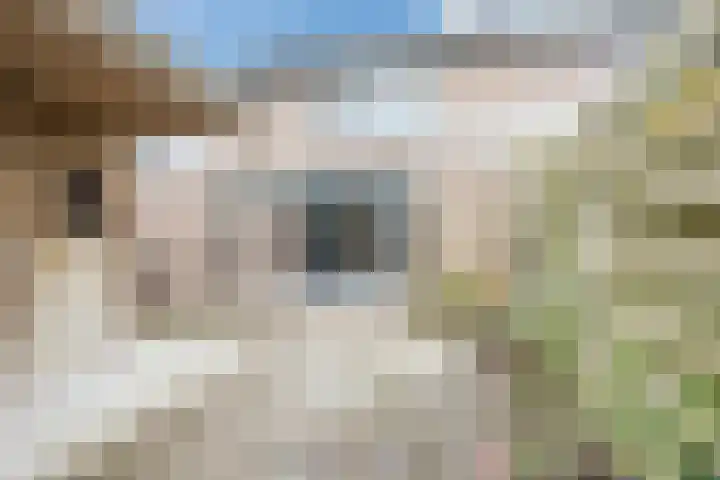 Hazenpad 11 Alteveer thumbnail 54