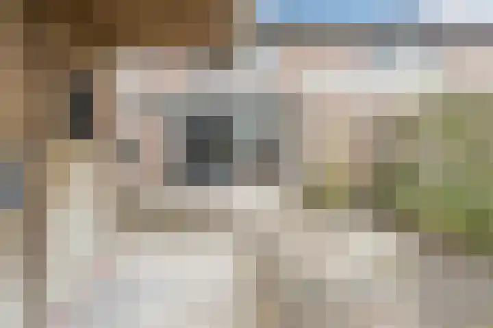 Hazenpad 11 Alteveer thumbnail 55