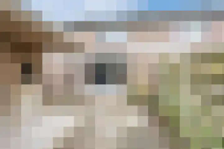 Hazenpad 11 Alteveer thumbnail 56