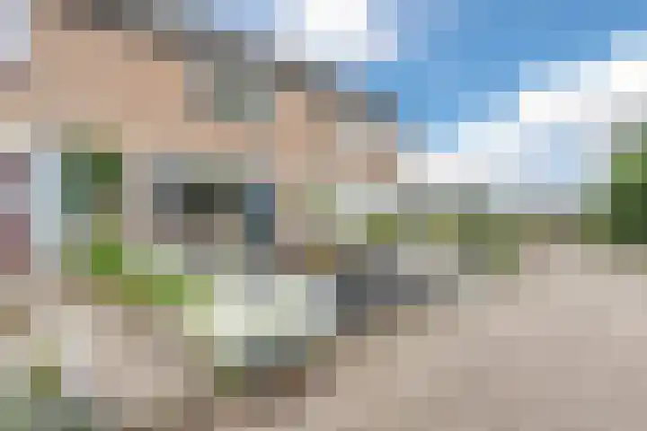 Hazenpad 11 Alteveer thumbnail 7