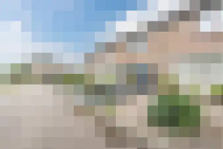 Hazenpad 11 Alteveer thumbnail 8