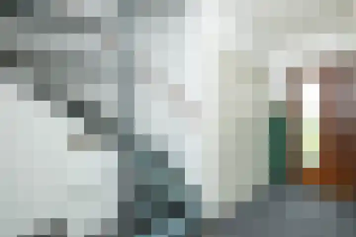 Hazenpad 16 Alteveer thumbnail 18