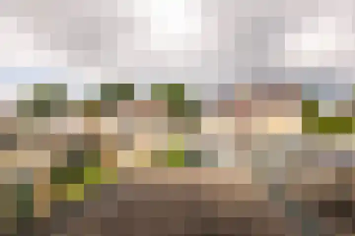 Hazenpad 16 Alteveer thumbnail 27