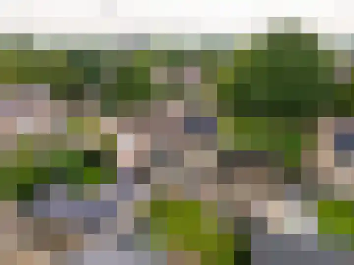 Hazenpad 16 Alteveer thumbnail 37