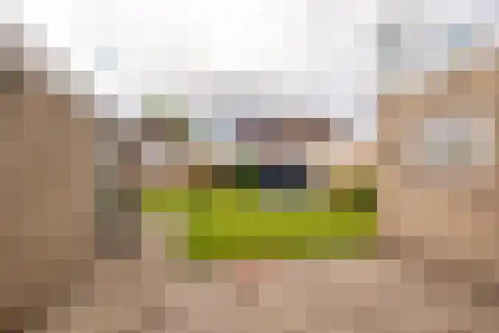 Hazenpad 16 Alteveer thumbnail 39