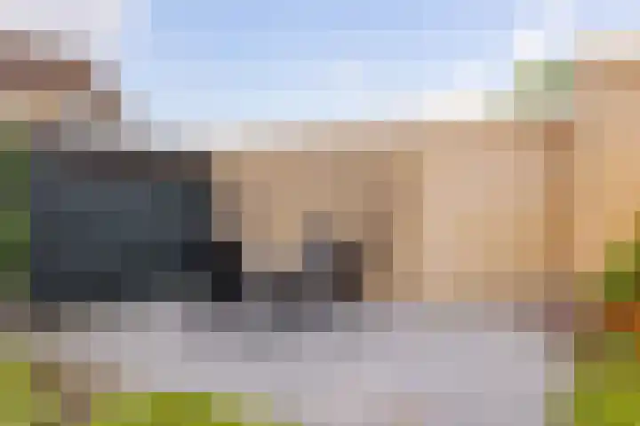 Hazenpad 16 Alteveer thumbnail 41