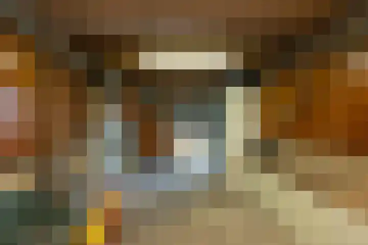 Hazenpad 16 Alteveer thumbnail 46