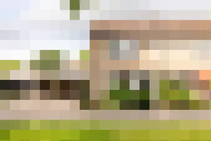 Hazenpad 16 Alteveer thumbnail 50