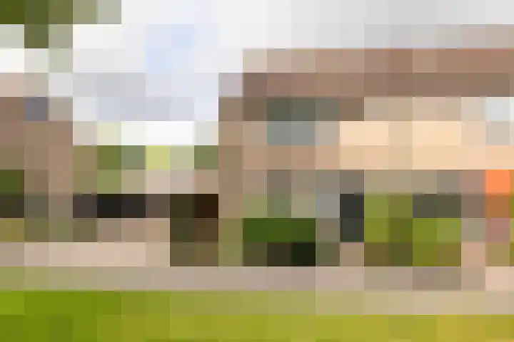 Hazenpad 16 Alteveer thumbnail 51