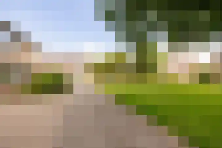 Hazenpad 16 Alteveer thumbnail 52