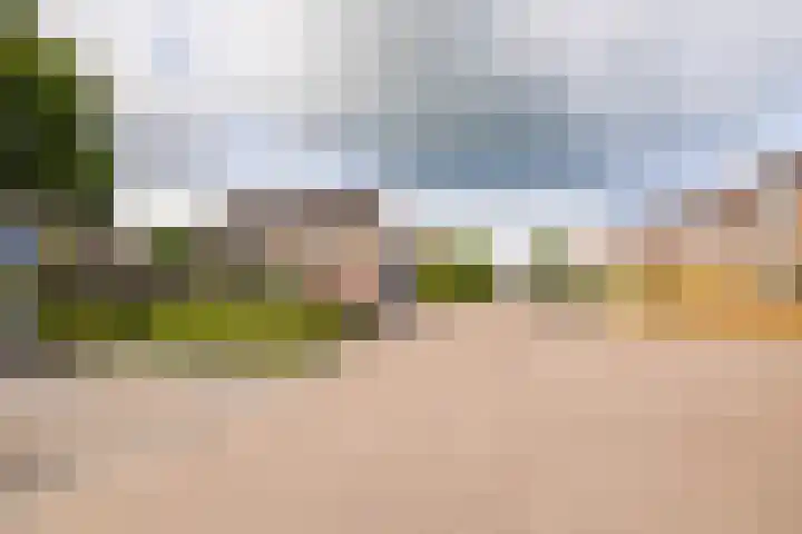 Hazenpad 16 Alteveer thumbnail 53